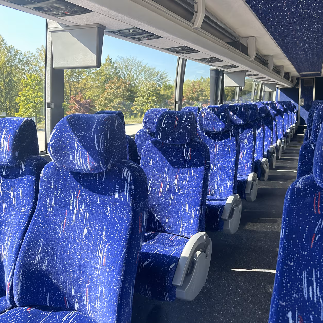 find the perfect transportation for your next bachelor or bachelorette party 4